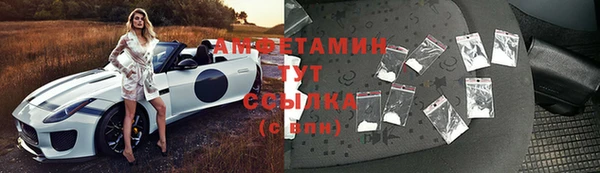 соль ск Абаза