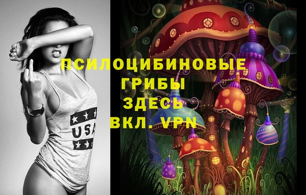 соль ск Абаза