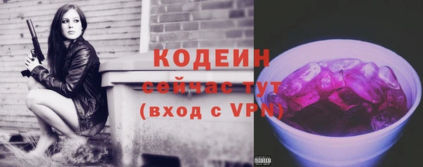 соль ск Абаза