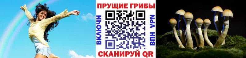 Галлюциногенные грибы ЛСД  Петров Вал 